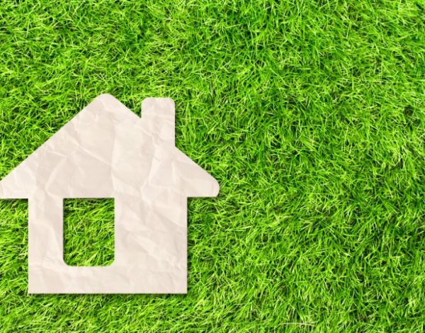 La carpintería artesanal y el medio ambiente